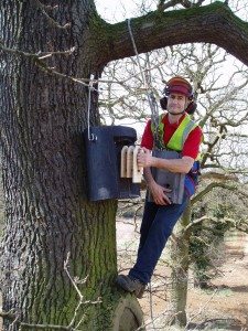 Arborist installing a bat box - part of our development site clearance service in The Midlands working in an ecologically sound way