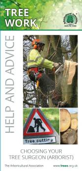 Choosing your tree surgeons guide from  for tree Surgeons in Burton on Trent