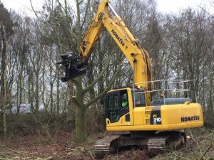 Commercial Tree Surgery Midlands