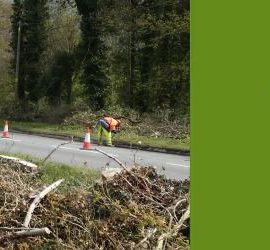 Example of Mechanised Tree and Vegetation Clearance Service - Midlands including Burton on Trent, Derby, Uttoxeter, Tamworth, Lichfield & Swadlincote